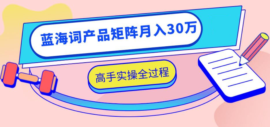 2020最新无货源店群项目，蓝海词产品矩阵月入30万，高手实操全过程（视频教程）