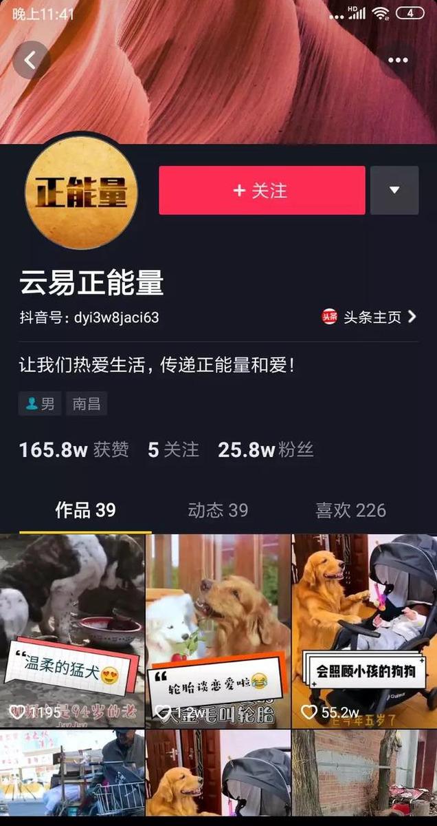 王通:如何用短视频积累百万粉丝?短视频引流聚粉,创千万收入 - 左键博客