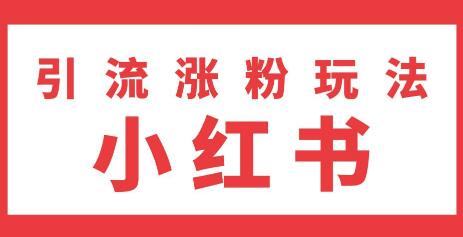 雨果：不用写文章，不用拍照片，小红书另类引流涨粉玩法（视频课程）