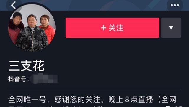 抖音 “山支花”涨粉400W成功翻红！你还记得她们吗？