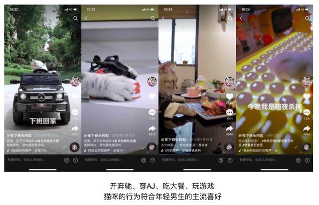 一个月涨粉246万！宠物类短视频如何快速吸引眼球？