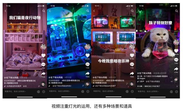 一个月涨粉246万！宠物类短视频如何快速吸引眼球？