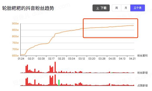 一个月涨粉246万！宠物类短视频如何快速吸引眼球？