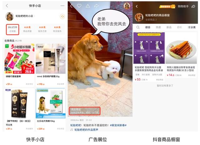 一个月涨粉246万！宠物类短视频如何快速吸引眼球？