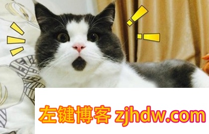 原力博客网赚特训营第二章：实操虚拟商品暴利赚钱项目