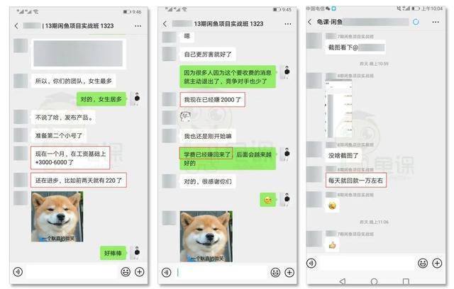 龟课·闲鱼无货源电商课程第15期，一个月收益几万不等【33节视频-无水印】