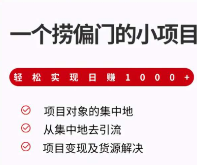 柚子团队课程：一个捞偏门的小项目，轻松实现日赚1000+