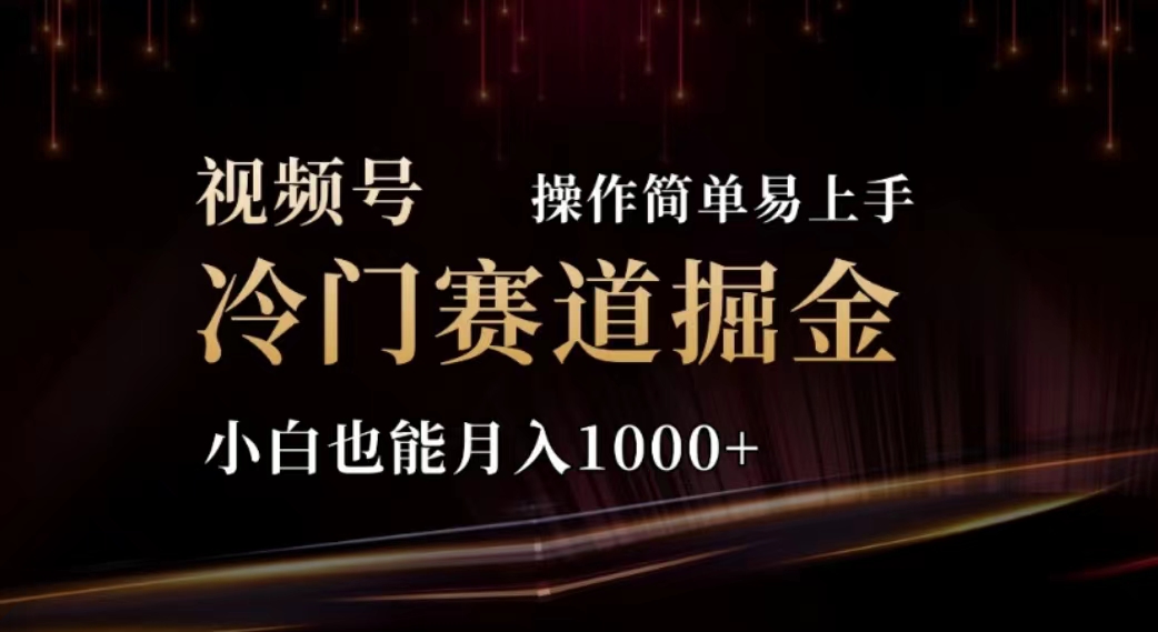 （11378期）2024视频号冷门赛道掘金，操作简单轻松上手，小白也能月入1000+-  -
