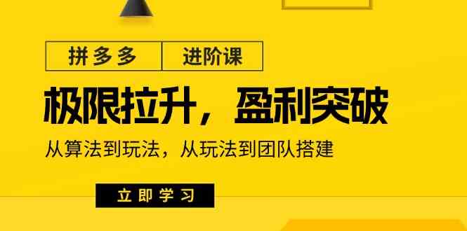 拼多多进阶课：极限拉升/盈利突破：从算法到玩法 从玩法到团队搭建（18节）-  -