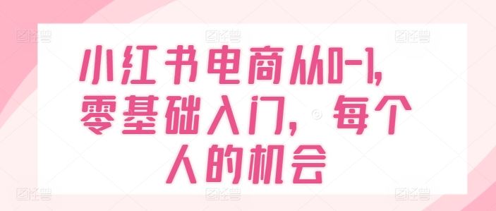 小红书电商从0-1，零基础入门，每个人的机会-  -