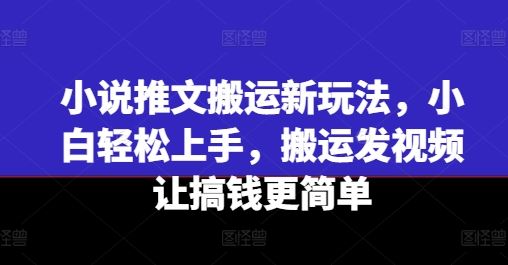 小说推文搬运新玩法，小白轻松上手，搬运发视频让搞钱更简单-  -
