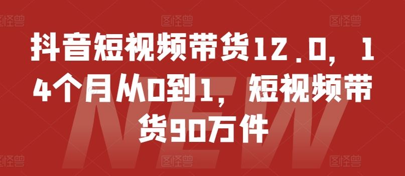 抖音短视频带货12.0，14个月从0到1，短视频带货90万件-  -