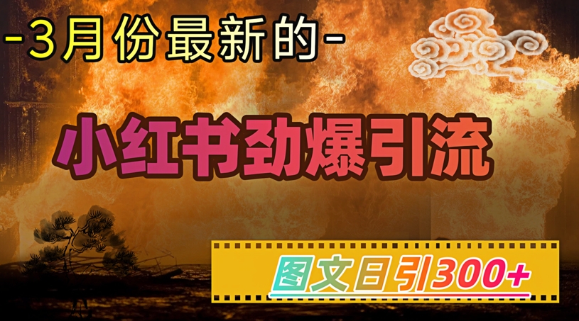 小红书超劲爆引流手段，图文日引300+轻松变现1Wbbb-97网赚