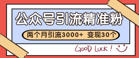 公众号精准粉引流玩法，2个月3000+精准粉，变现30个W【揭秘】 &#8211; 左键博客