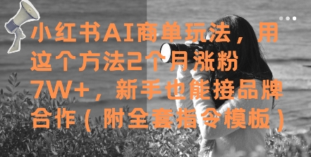 小红书AI商单玩法，用这个方法2个月涨粉7W+，新手也能接品牌合作(附全套指令模板) &#8211; 左键博客