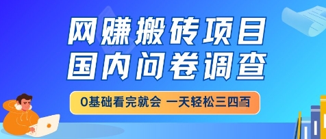 网创搬砖项目，国内问卷调查，小白轻松上手，一天三四张的也不难，干就完了【揭秘】 &#8211; 左键博客