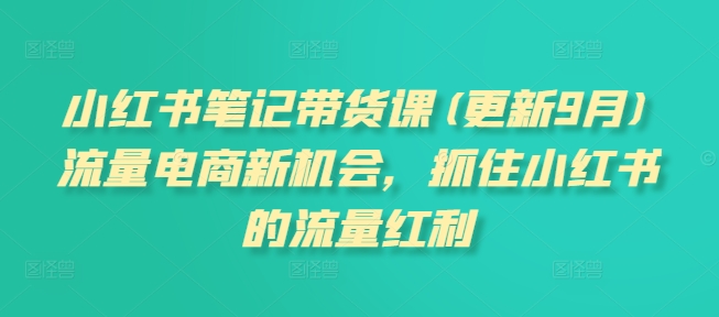 小红书笔记带货课(更新25年5月)流量电商新机会，抓住小红书的流量红利 &#8211; 左键博客