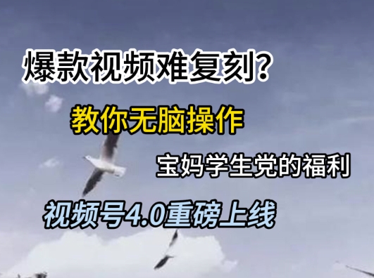 视频号4.0重磅上线，爆款视频难复刻？教你无脑操作宝妈学生党的福利【揭秘】 &#8211; 左键博客