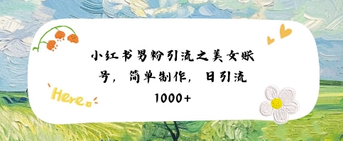 小红书男粉引流项目之美女账号6，简单制作，条条爆款原创，不违规 &#8211; 左键博客