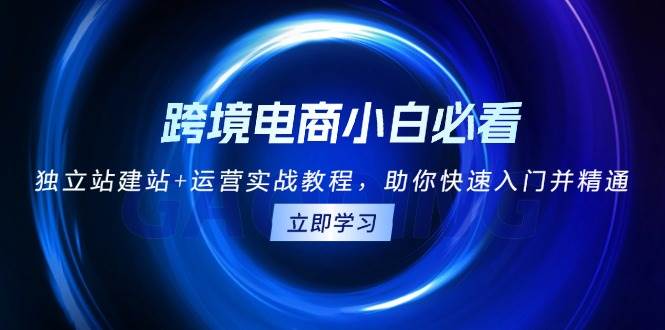 跨境电商小白必看！独立站建站+运营实战教程，助你快速入门并精通-左键博客