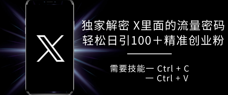 独家解密 X 里面的流量密码，复制粘贴轻松日引100+-左键博客