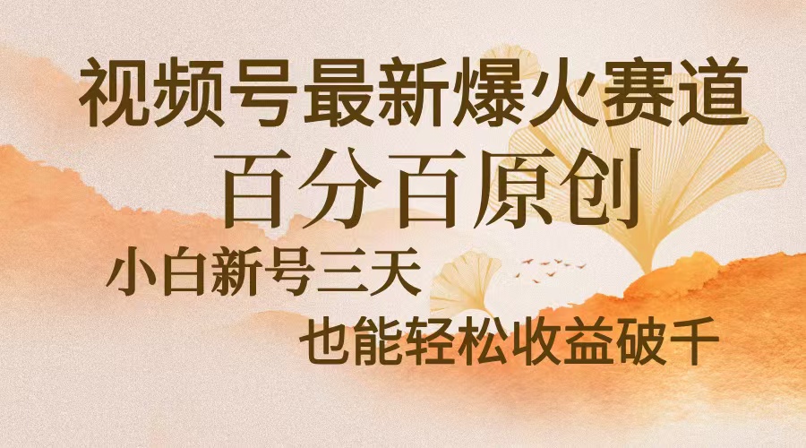 （13225期）视频号最新爆火赛道，中老年粉深信不疑，百分百原创，新号三天收益轻松…-左键博客