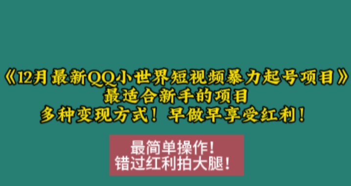 12月最新QQ小世界短视频暴力起号项目，最适合新手的项目，多种变现方式-左键博客